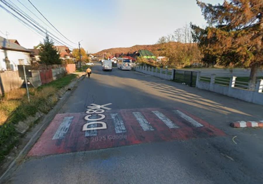 Limitatoare de viteza neconforme - Imagine 2